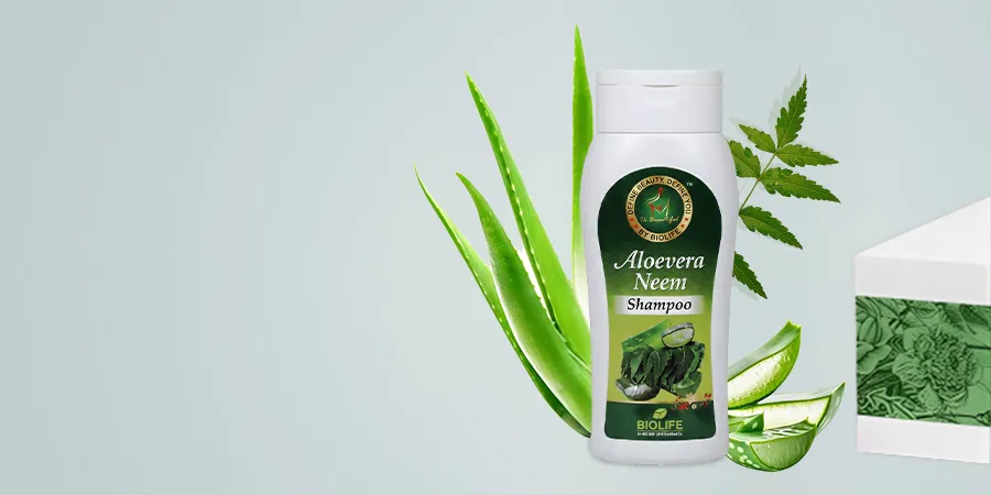 banner-01.jpg